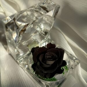 Preserved Rose ( Black )