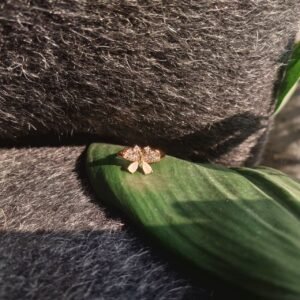 Little Butterfly Ring ( Nude )